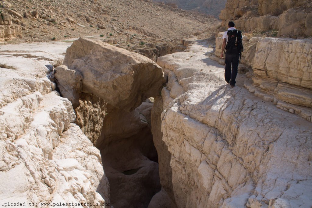 Sea Level to Nabi Musa (Wadi Mukallik) | Explore Trails | Palestine Trails